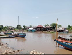 Sering Muncul Buaya dan Menerkam Warga