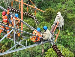 Tingkatkan Keandalan, PLN Lakukan Pemindahan Kabel Konduktor dari Tower  Darurat ke Tower Permanen